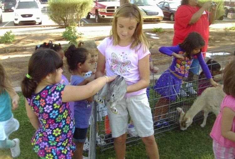 Kids feeding animals at the petting zoo