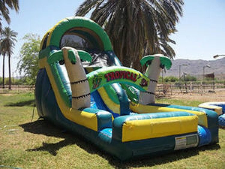 Tropical wave inflatable water slide